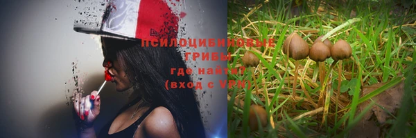 дмт Армянск